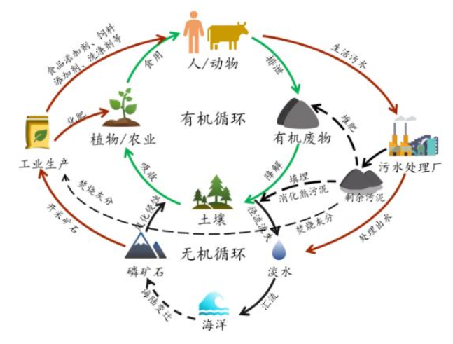 用磁鐵就能吸出污水廠污泥中的磷？